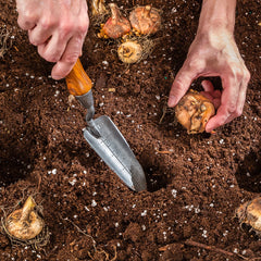 Rockler Garden Transplanter Turning Kit