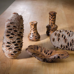 Banksia Nuts for Turning