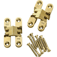Mini Concealed Soss Hinge