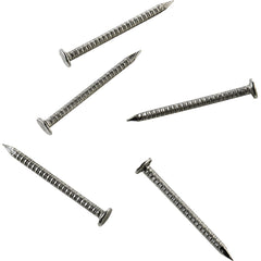 Stainless Steel Nails for Shutter System