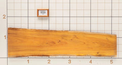 Osage Orange Live Edge Slab, 14''W x 61''L x 1-1/8'' Thick