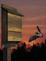 Bat House Bungalow Downloadable Plan