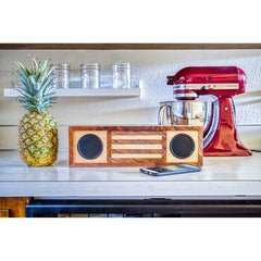 Rockler Stereo Wireless Speaker Kit with 2 Speakers and Playback/Volume Controls