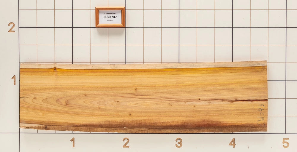 Canarywood Live Edge Slab, 15-1/2''W x 55''L x 1-1/8'' Thick