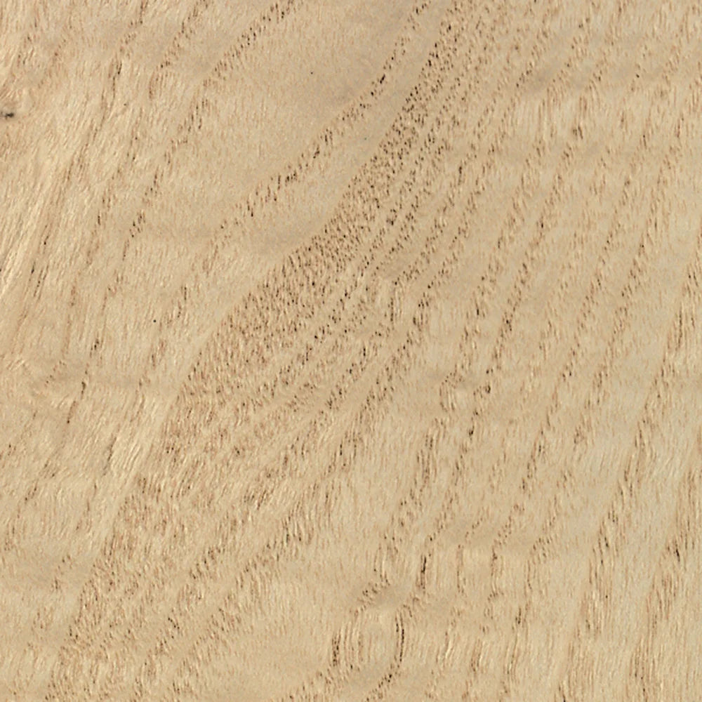 Birdseye Maple 3 Sq. Ft. Veneer Pack