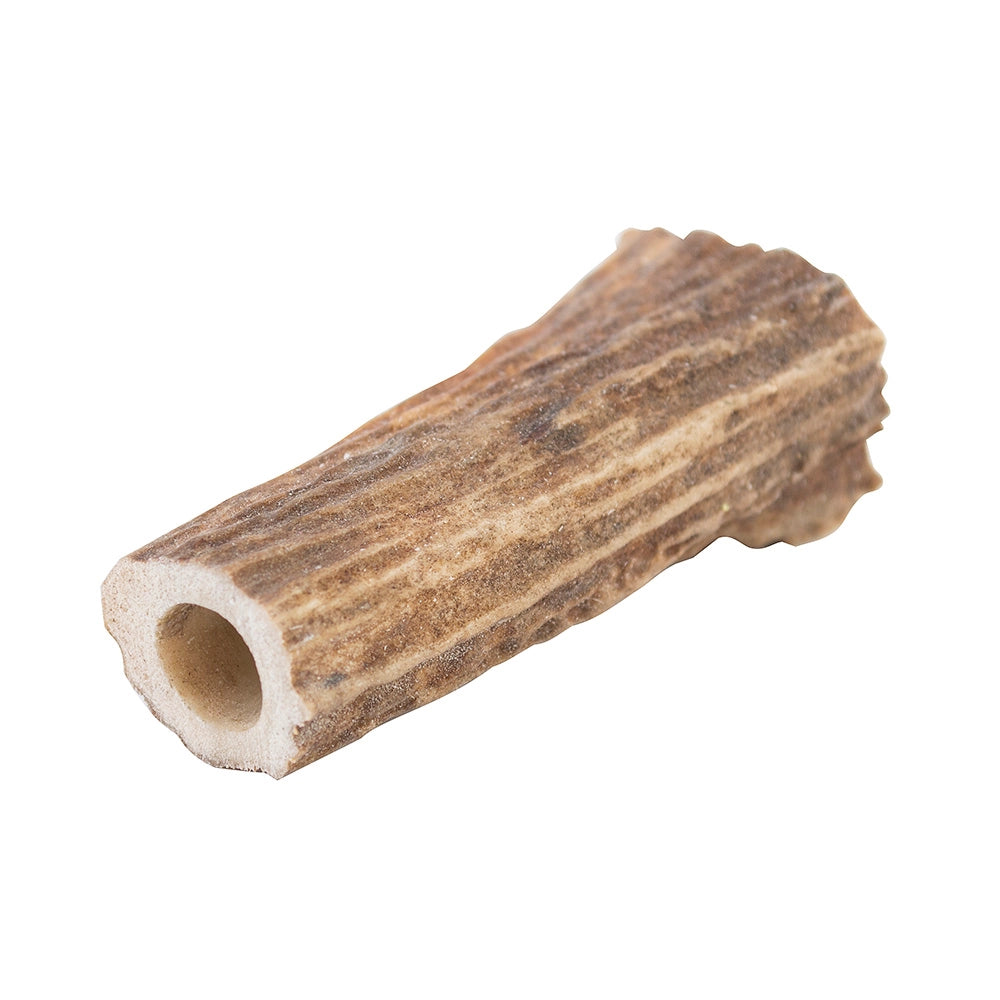 Antler Pen Blank Pre-Drilled for 3/8'' Tube