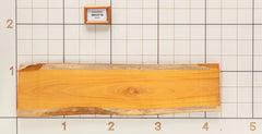 Osage Orange Live Edge Slab, 13-1/2''W x 51''L x 1-1/8'' Thick