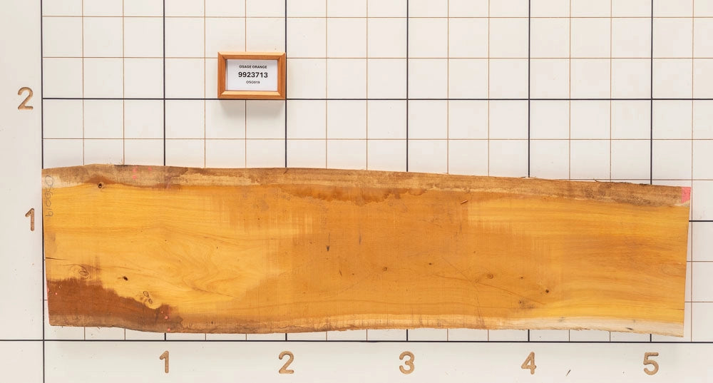 Osage Orange Live Edge Slab, 15-3/4''W x 62''L x 1-1/8'' Thick