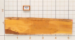 Osage Orange Live Edge Slab, 15-3/4''W x 62''L x 1-1/8'' Thick