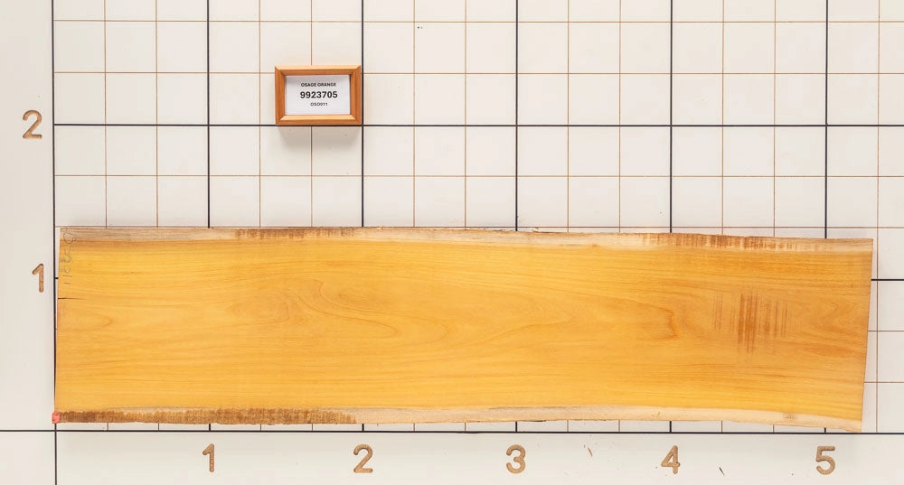 Osage Orange Live Edge Slab, 15-1/4''W x 62''L x 1-1/8'' Thick