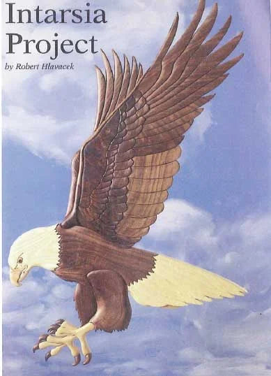 Intarsia American Eagle Downloadable Plan