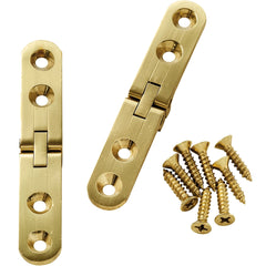 Standard Twin Pin Sewing Machine Hinge, 1-3/16" W x 2-3/4" L