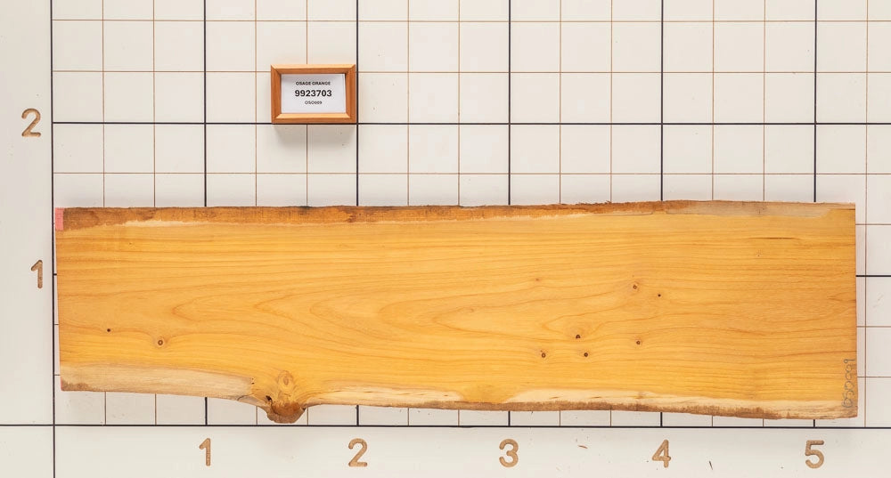 Osage Orange Live Edge Slab, 16-1/4''W x 62''L x 1-1/8'' Thick