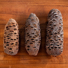 Banksia Nuts for Turning