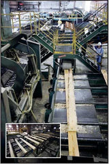 Woodworking's Critical Path Lessons