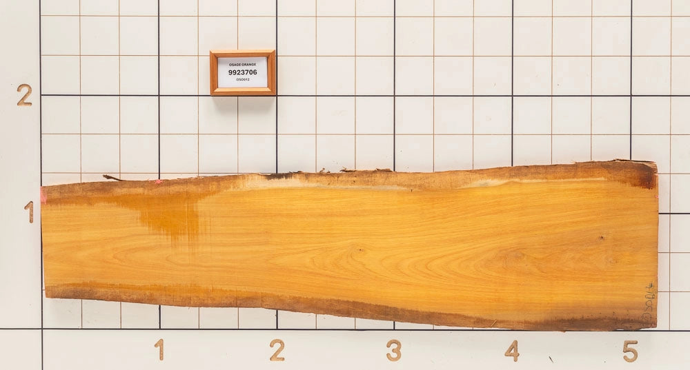 Osage Orange Live Edge Slab, 14-3/4''W x 61''L x 1-1/8'' Thick