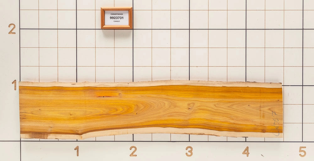 Canarywood Live Edge Slab, 12-1/4''W x 55''L x 1-1/8'' Thick